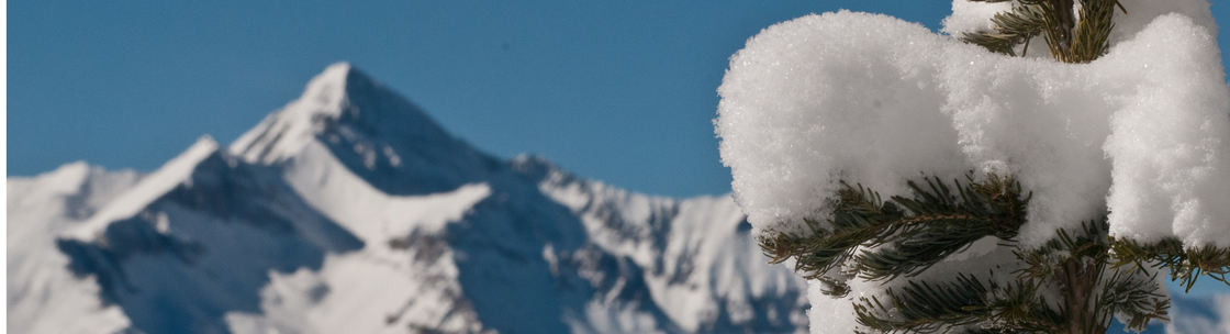 Melissa Plantz Photography, Telluride CO