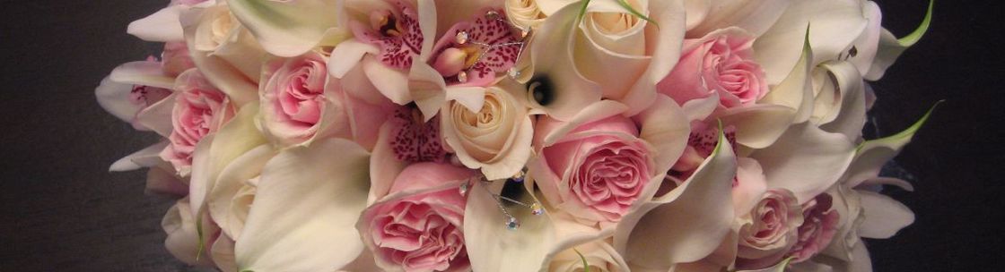 Therese Guidolin Consultant , Woodbridge ON