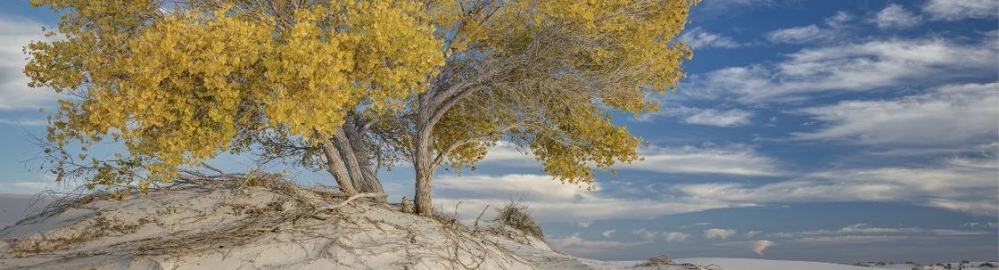 Tye's Photography, Albuquerque NM