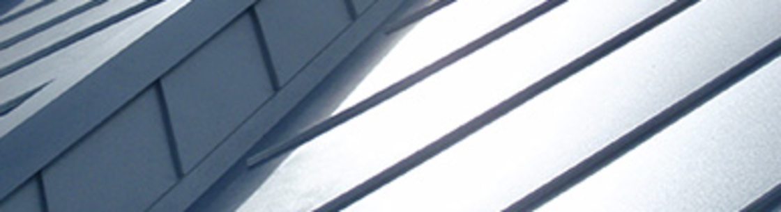 Patchs Surrey Dome Roofing, Abbotsford BC