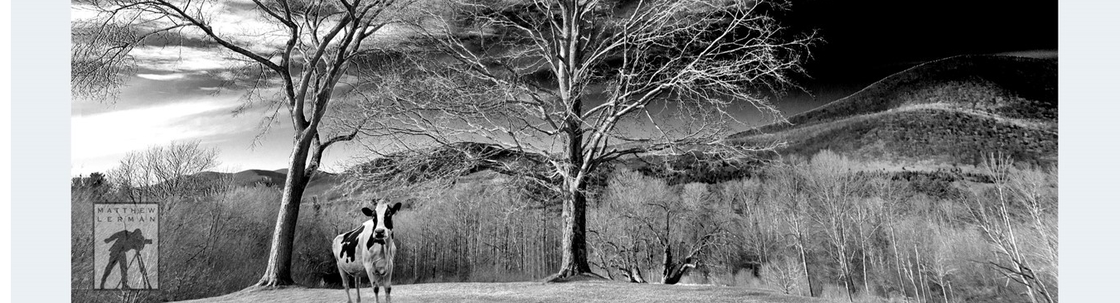 Matthew Lerman PHOTOGRAPHY - Manchester Center, VT - Alignable