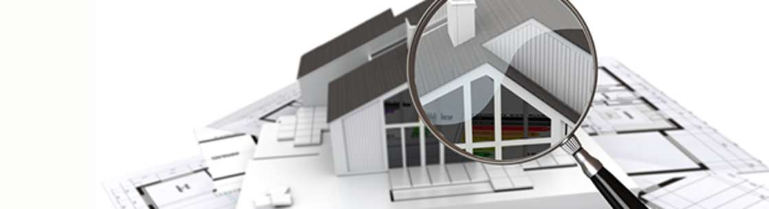 National Property Inspections Inc.     Covering Middle TN., Carthage TN