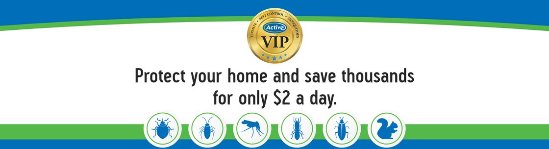 Active Pest Control, Rome GA