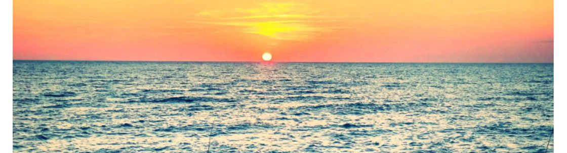 Sarasota Insurance Services, Sarasota FL