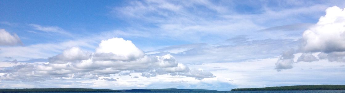 Nicole Pugliese, Saint Paul MN