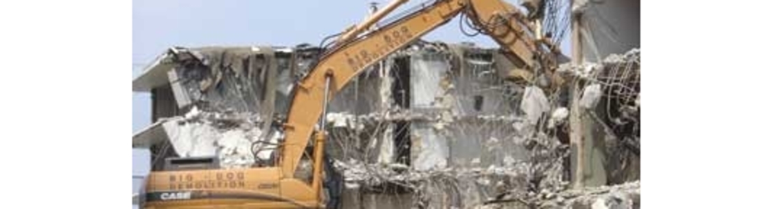 Big Dog Demolition SE, LLC, Myrtle Beach SC