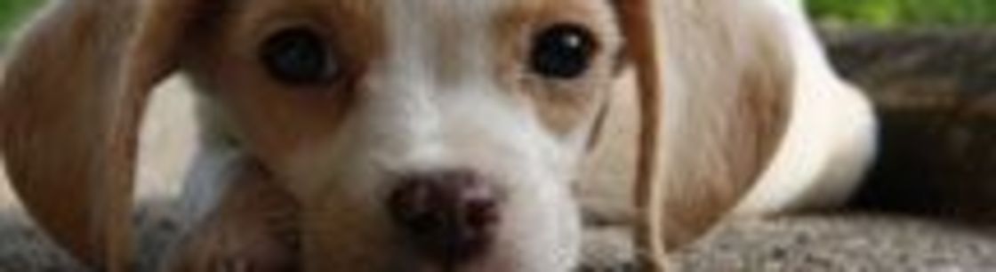 PMB Photography, Beavercreek OH