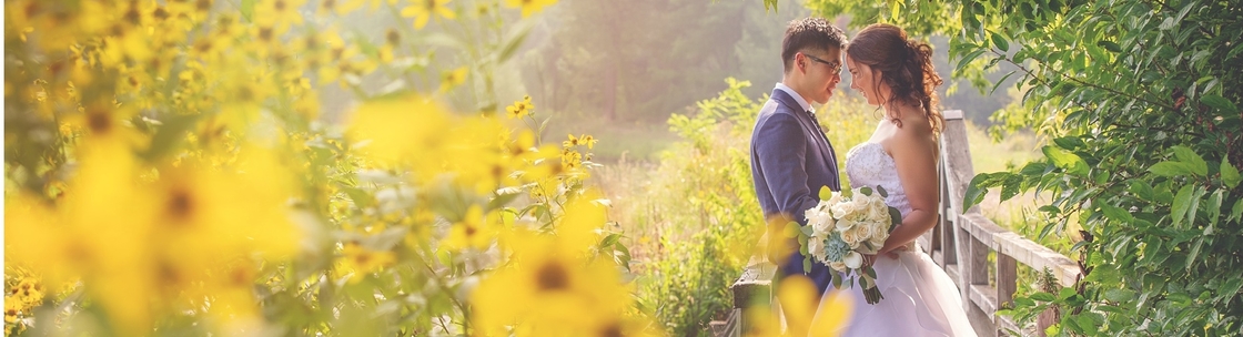 Laura Meyer Photography, Villa Park IL