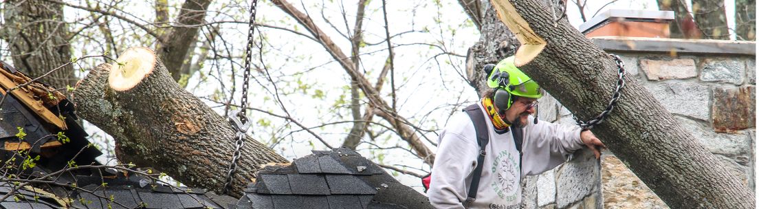 Out on A Limb Tree Service Fairfax, VA Alignable