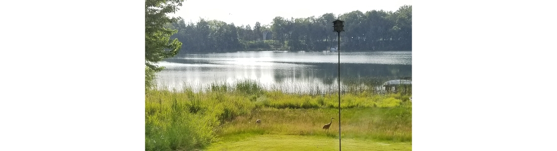 Linda, Oconomowoc WI