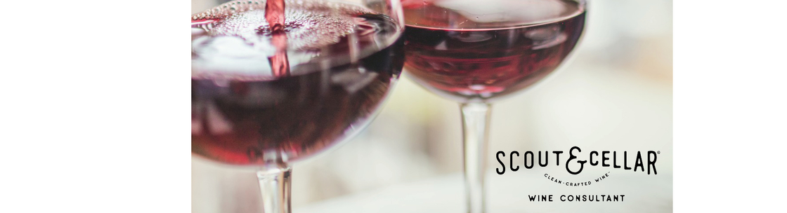  Karola Cavagna Scout and Cellar Clean Crafted Wines Independent consultant, stafford VA