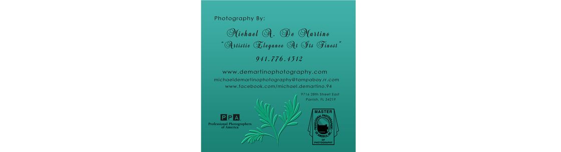 Photography By Michael A. De Martino, Parrish FL