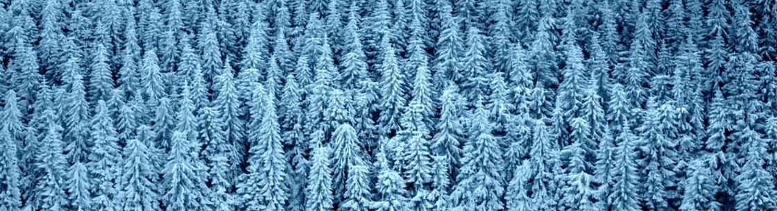 Tom Albrecht, Calgary AB