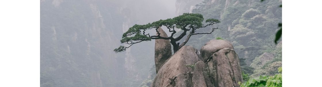 Dr. Fei Yang, Sooke BC