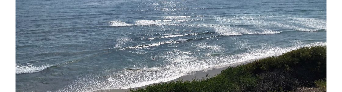 Lisa Trapp - State Farm Insurance Agent, Encinitas CA