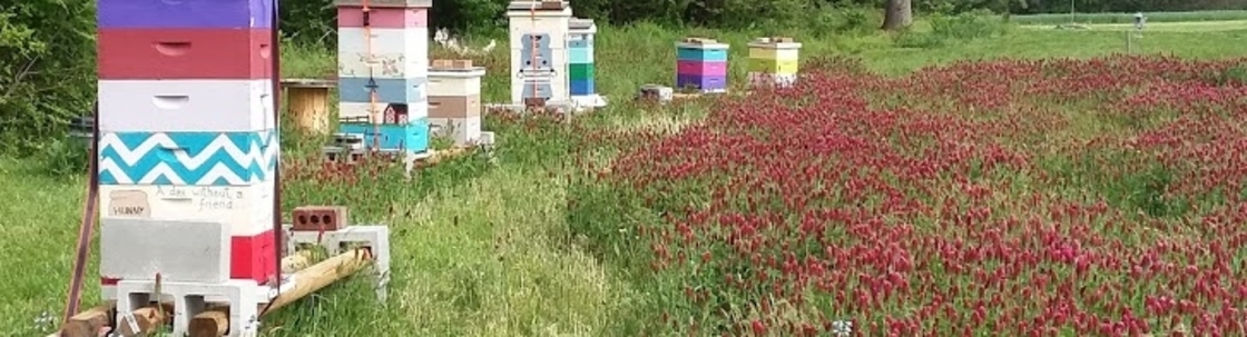 Cold Harbor Bee Farm LLC, Mechanicsville VA