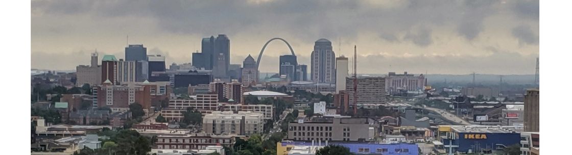 The Dustmann Group LLC, Saint Louis MO