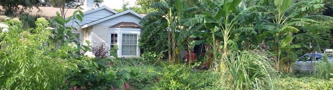 Grow Permaculture, Brooksville FL