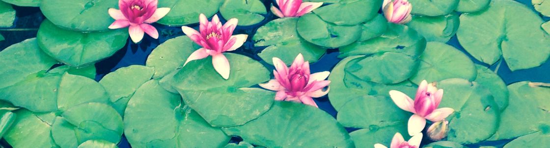 Geriatric Care Consultants LLC, Malibu CA