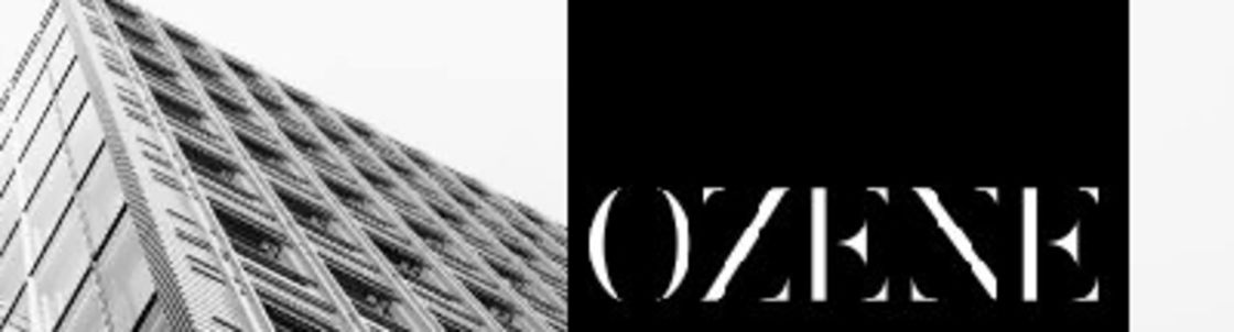 Ozene Realty Consultants, Houston TX
