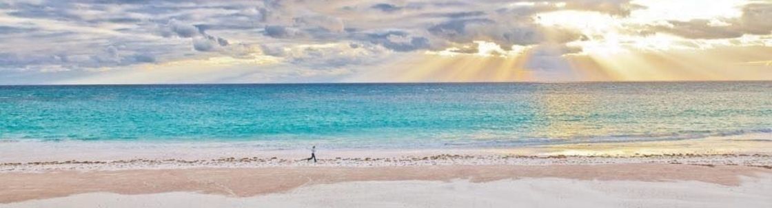 Cruise Planners dba Frankie Travel, LLC, Tamarac FL