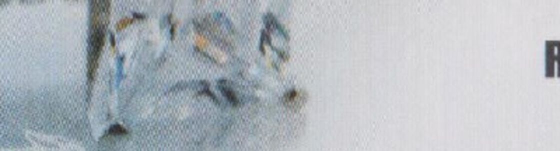 TOP CUSTOM JEWELERS INC  Rafi Owner  The Singing Jeweler, Watervliet NY