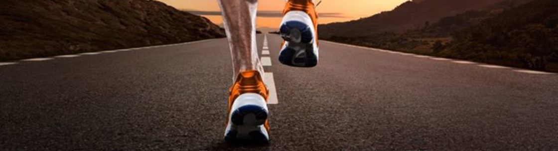 Crowdster, Brookville NY