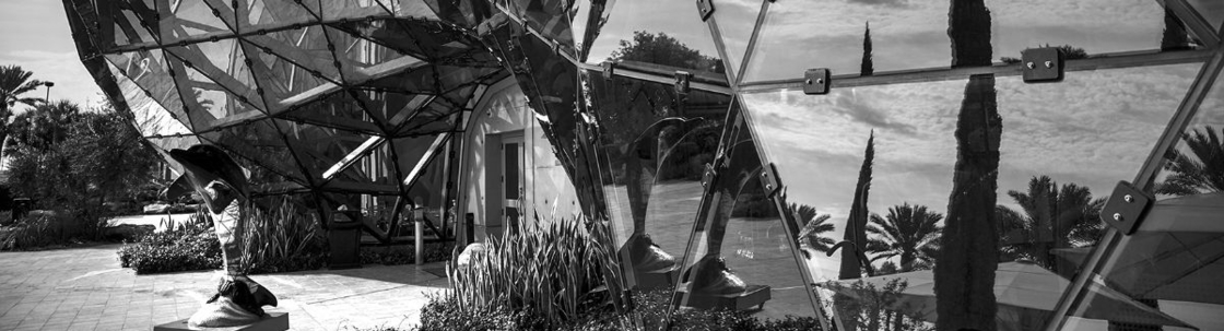 Steven Kovich Photography, Saint Petersburg FL