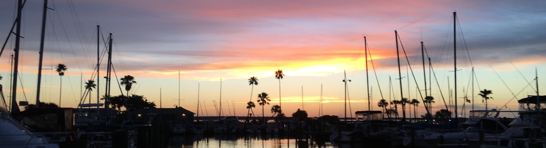 Prose to Go, Clearwater FL
