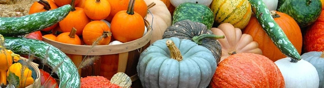 Dees Nursery, Oceanside NY