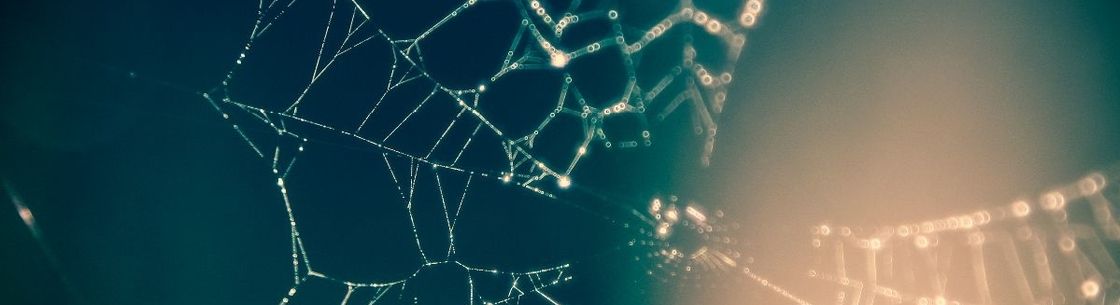 Delsur Tech, Inc, Roswell GA