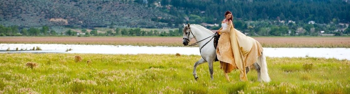 Sierra Elegance Photography, Sparks NV