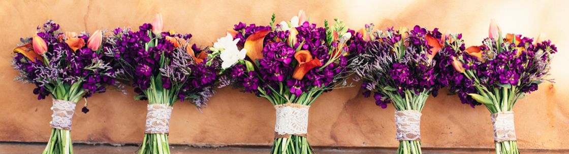 Face Forward Skin Care Salon, Wylie TX