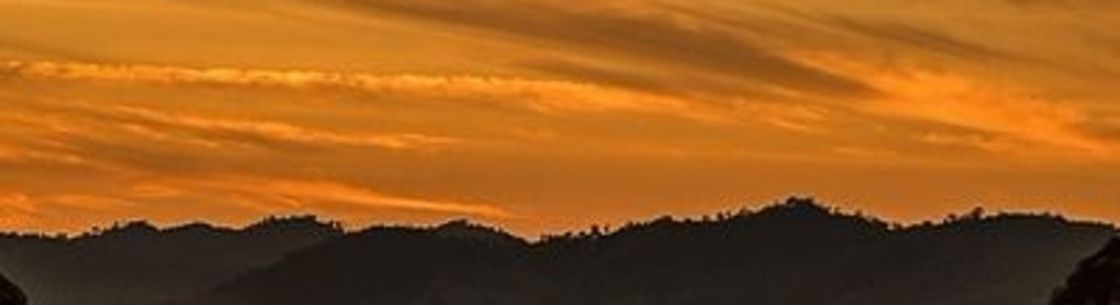 MD Bookkeeping & Internet Services LLC, Longmont CO