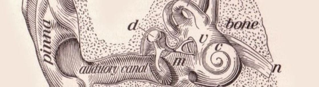 RK Audiology - South Austin, Austin TX