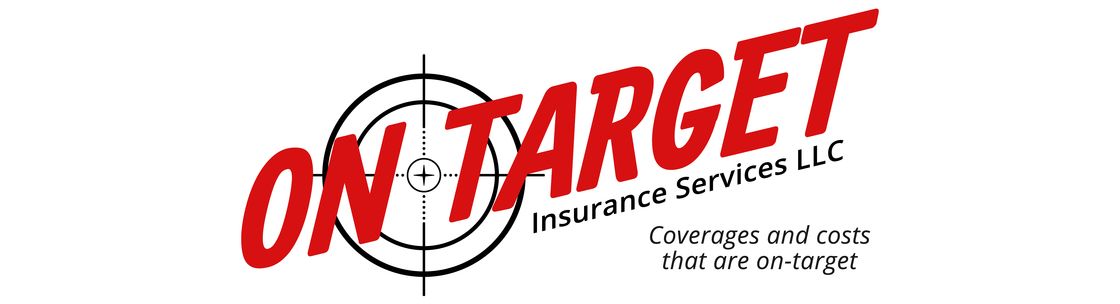 On Target Insurance Services LLC Round Rock, TX Alignable