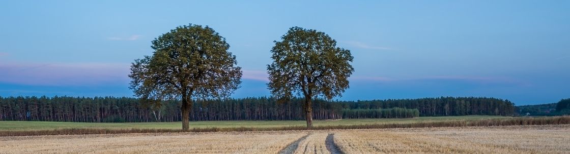 Matishak Financial Services, Calgary AB
