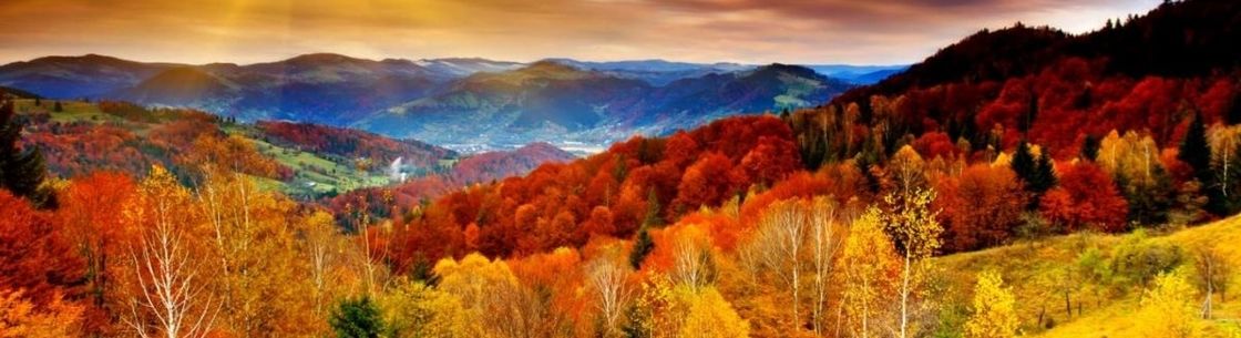 Rest Assured Bodyworks, Calgary AB