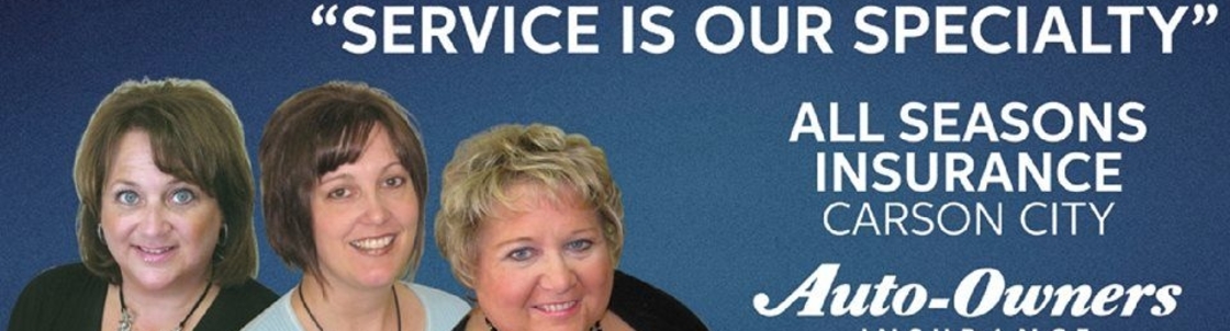 All Seasons Insurance Agency, Carson City MI