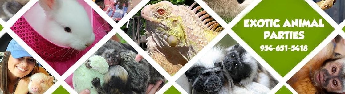 Exotic Animal Parties - Davie, FL - Alignable