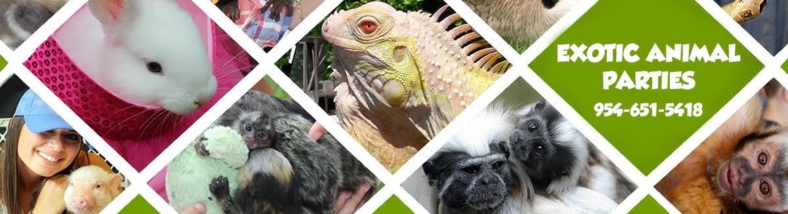 Exotic Animal Parties, Davie FL
