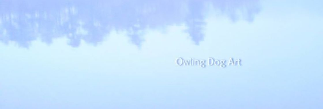Owling Dog Art Gallery, Bridgewater MA