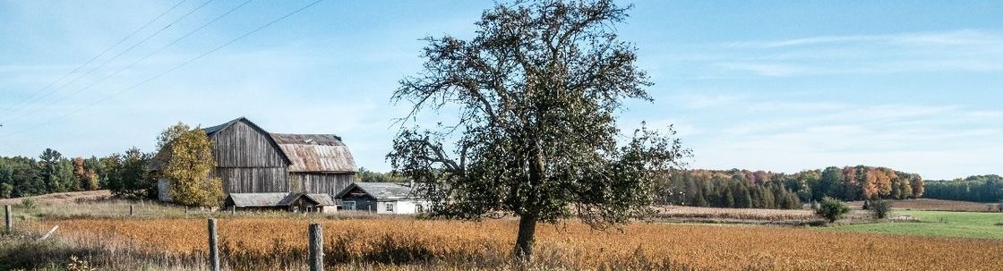 DFW Fine Art Photography and Printing, Allen TX