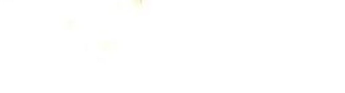 Salmen Tech Co. Inc., Bethel Park PA