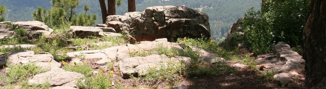 Winston Rowe and Associates, Saint Clair Shores MI