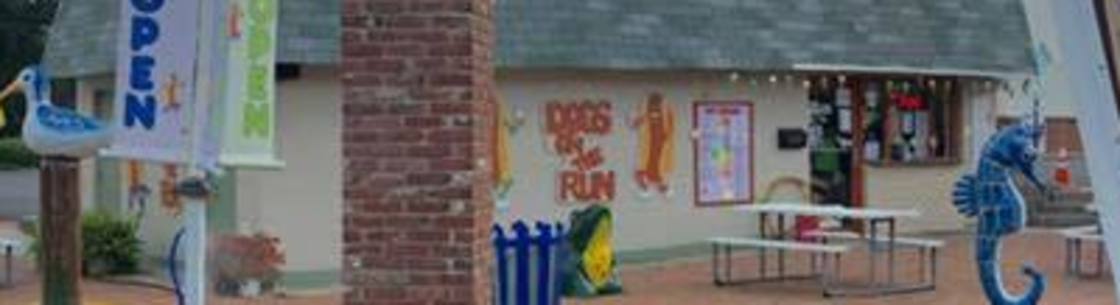 Dogs on the Run, East Palestine OH