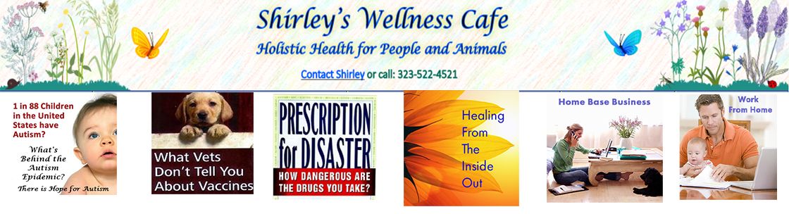 Shirley's Wellness Cafe, Hollywood CA