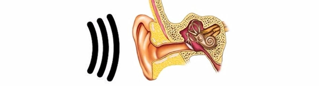 Hooked On Hearing, LLC, Powell OH