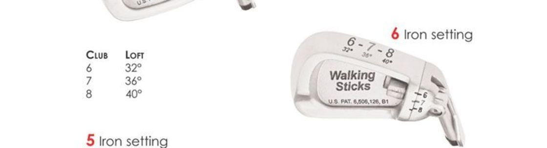 Walking Sticks Golf llc, Los angeles CA