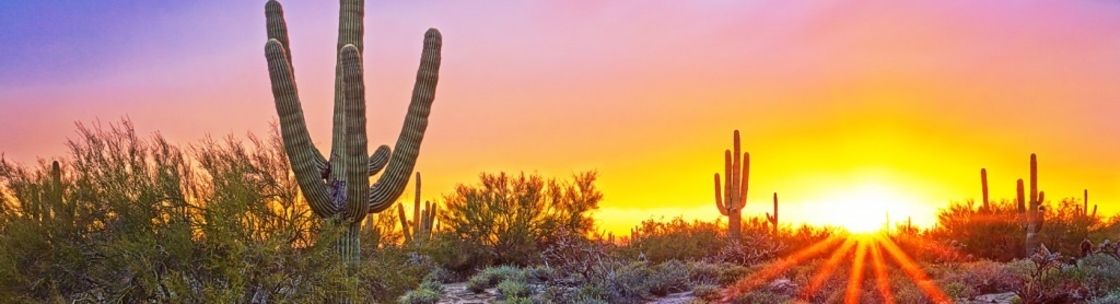 Richelle Litteer - Realtor, Tucson AZ